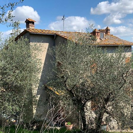 Villa Tranquillita E Relax Vicino A Siena Rosia Exterior foto