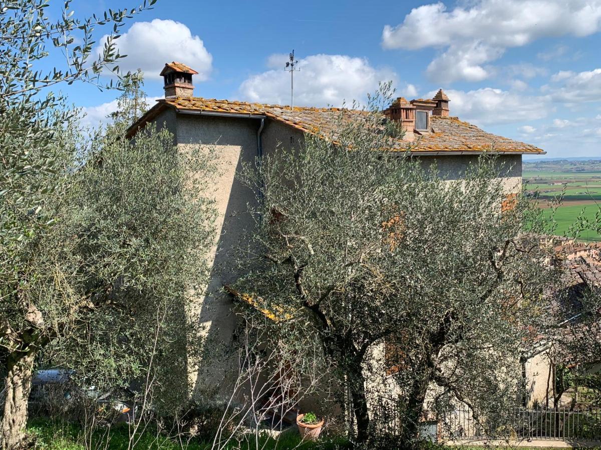 Villa Tranquillita E Relax Vicino A Siena Rosia Exterior foto